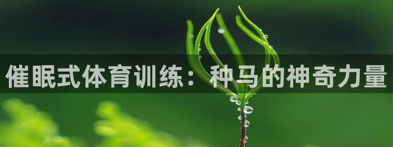 球速体育：催眠式体育训练：种马的神奇力量