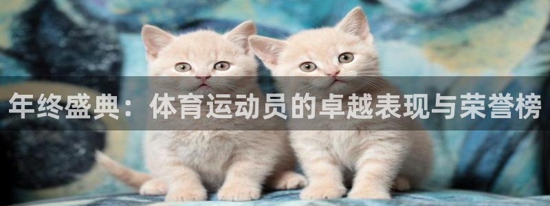 球速体育：年终盛典：体育运动员的卓越表现与荣誉榜