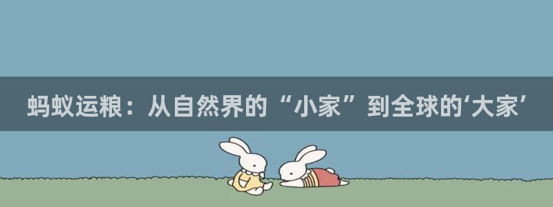 球速体育：蚂蚁运粮：从自然界的“小家”到全球的‘大家’