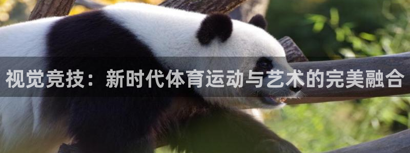 球速体育：视觉竞技：新时代体育运动与艺术的完美融合