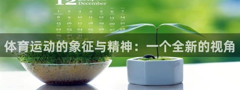 球速体育：体育运动的象征与精神：一个全新的视角
