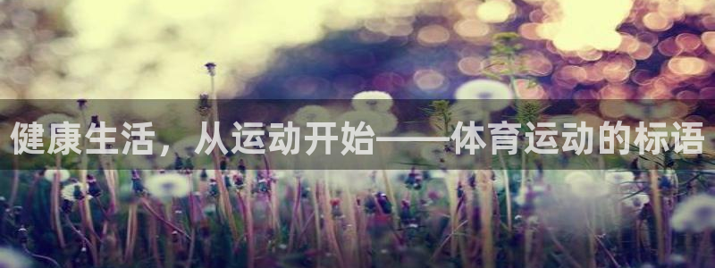 球速体育：健康生活，从运动开始——体育运动的标语