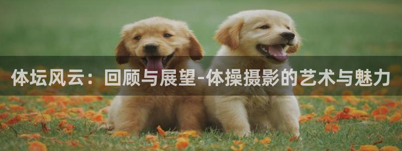 球速体育：体坛风云：回顾与展望-体操摄影的艺术与魅力