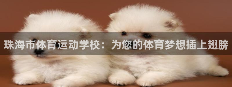 球速体育：珠海市体育运动学校：为您的体育梦想插上翅膀