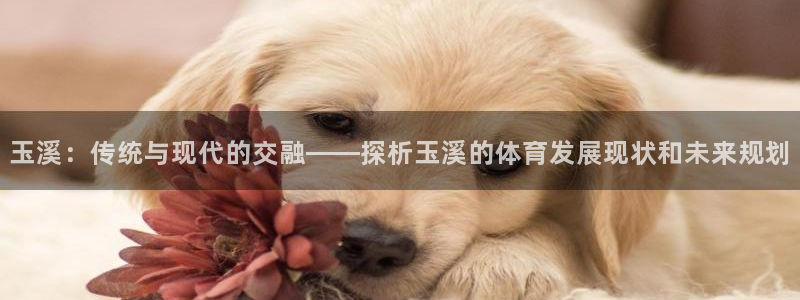 球速体育：玉溪：传统与现代的交融——探析玉溪的体育发展现状和未来规划