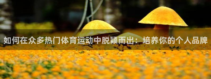 球速体育：如何在众多热门体育运动中脱颖而出：培养你的个人品牌