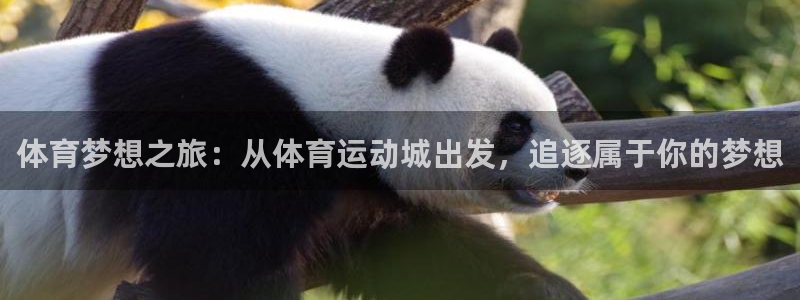 球速体育：体育梦想之旅：从体育运动城出发，追逐属于你的梦想