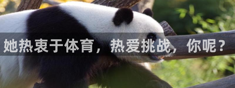 球速体育：她热衷于体育，热爱挑战，你呢？