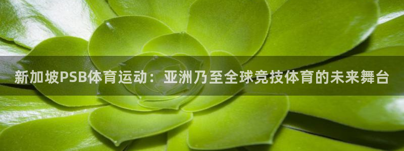 球速体育：新加坡PSB体育运动：亚洲乃至全球竞技体育的未来舞台