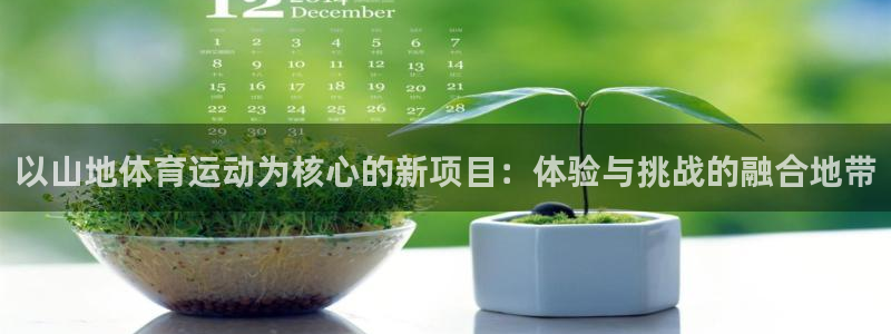球速体育