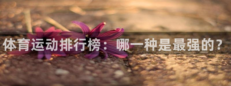 球速体育