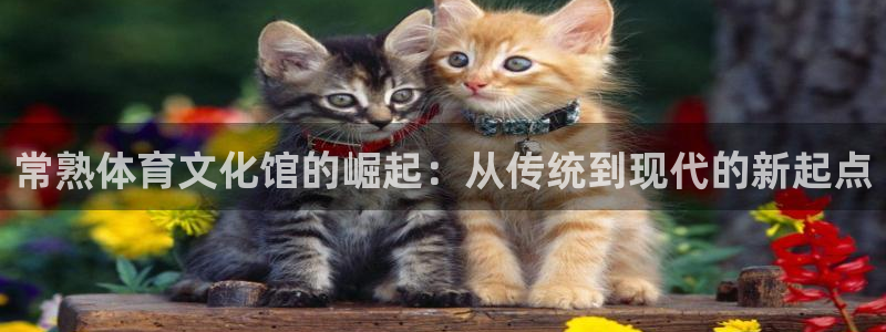 球速体育：常熟体育文化馆的崛起：从传统到现代的新起点